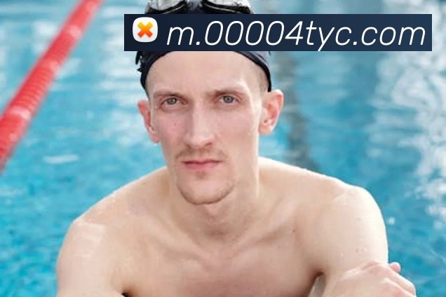 互动解说服务